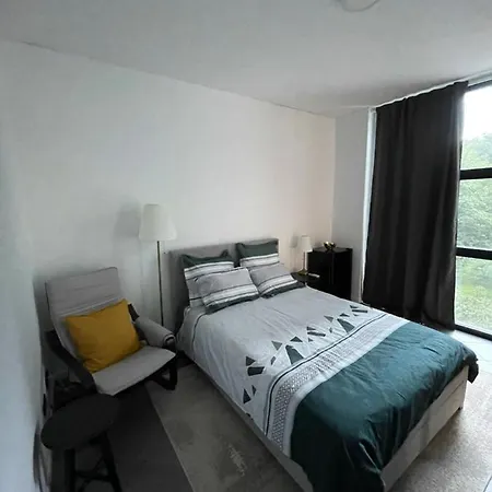 Park Apartman Temesvár