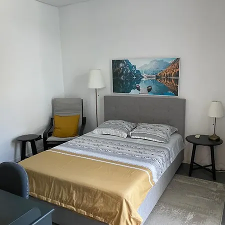 Park * 蒂米什瓦拉