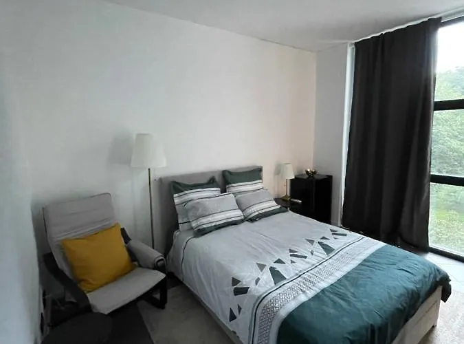 Park Apartment Timişoara